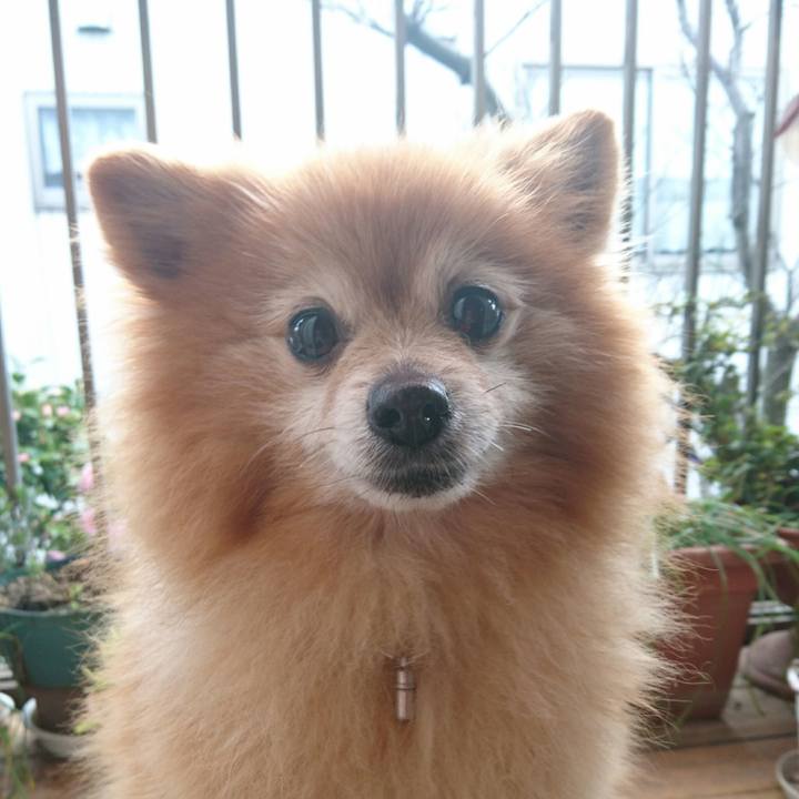 8171c44d 2b5b 4ec6 b398 cc335fc2dc8a