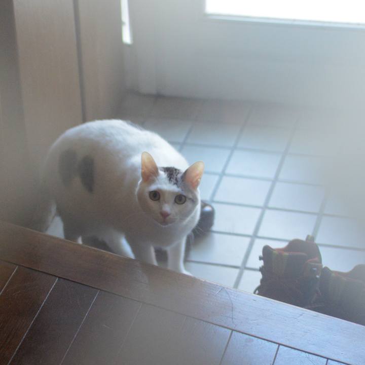 81723bc1 cf04 4aef ae98 2b1d4b04685c