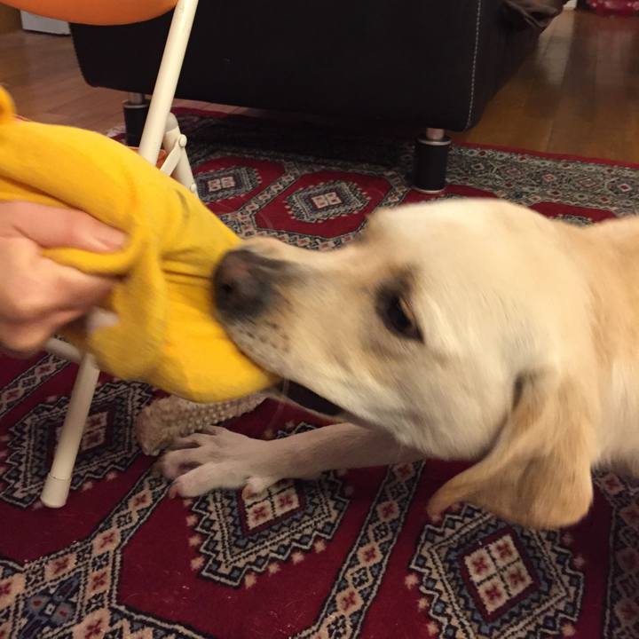 8172621f 8785 48d6 b2ec 9c95e974a1f2