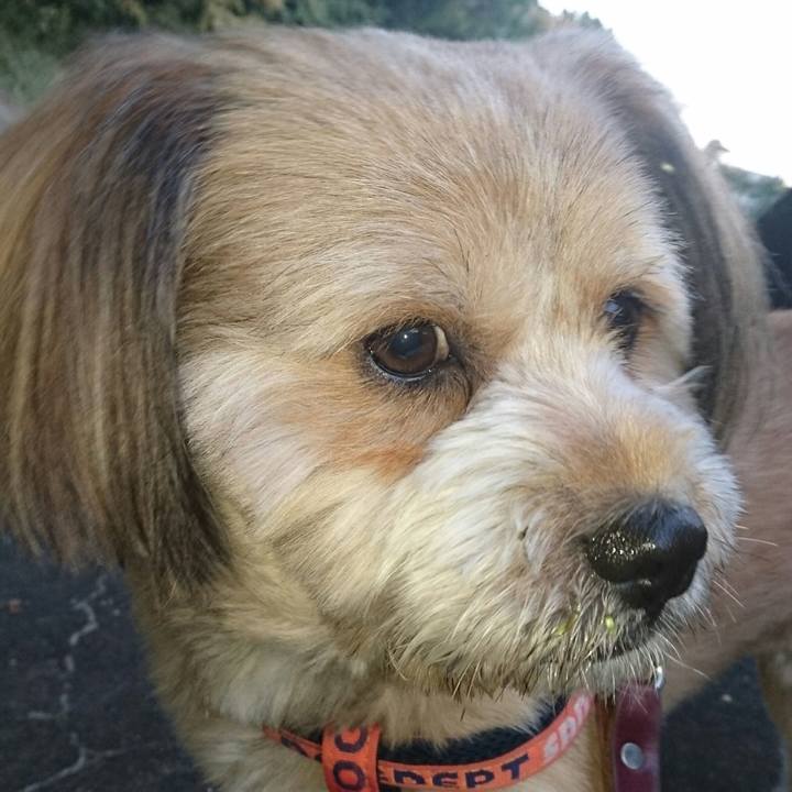 81729ad3 8160 4361 a289 7122bbca3b39