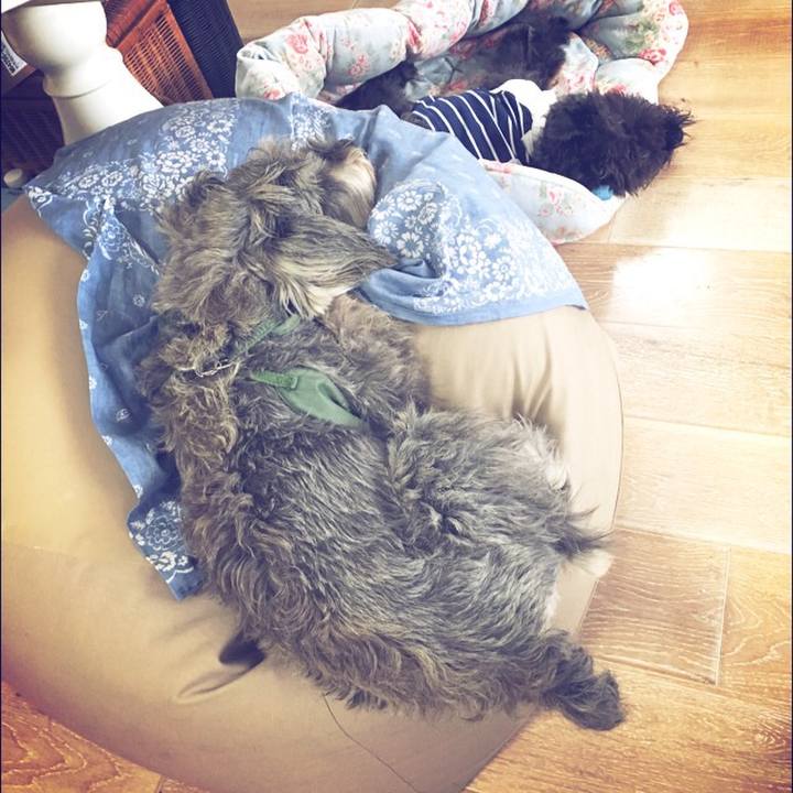 81732a3c 50c8 4f99 84d8 ecf869c32a8a