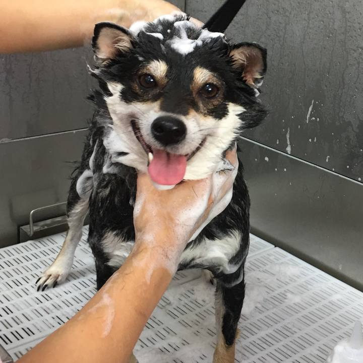 81734d27 ea71 4c54 ae9d 31c0c04e8e3f