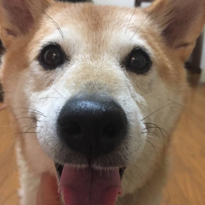 81735344 5f20 4827 868d 658ddd7b705a