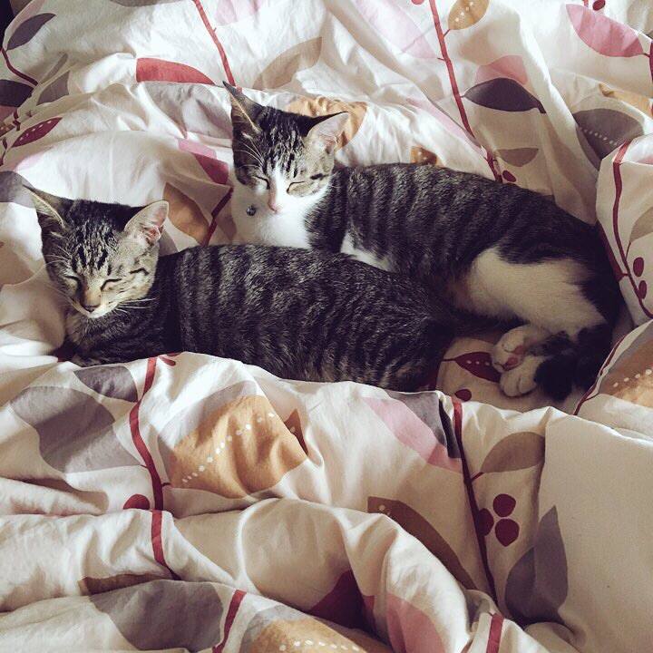 81735df0 ce38 499c aa26 9251c328d39f