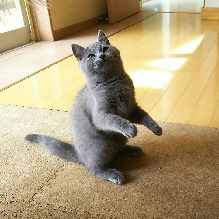 8173ec76 338a 474f 9b04 d59742edb063