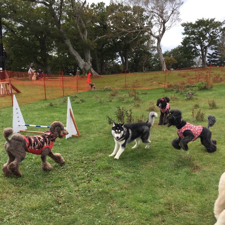 8174413e f0e1 4e95 a143 8ccece81cd26