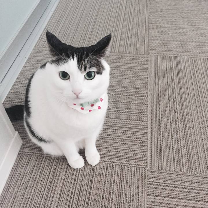 81747342 7ec0 4cff 9df4 91413960ac3c