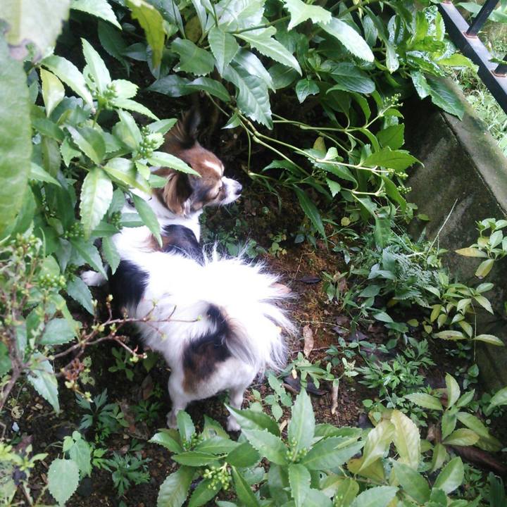 81749704 b882 4209 b1a1 e4eafa3360fd