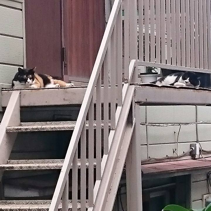 81756c11 e2eb 455c 8edf 33cb45dfc9c1