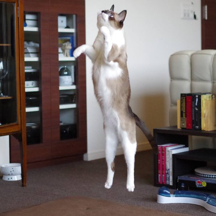 8175741f 78f3 430d a8ed e8da82f14490