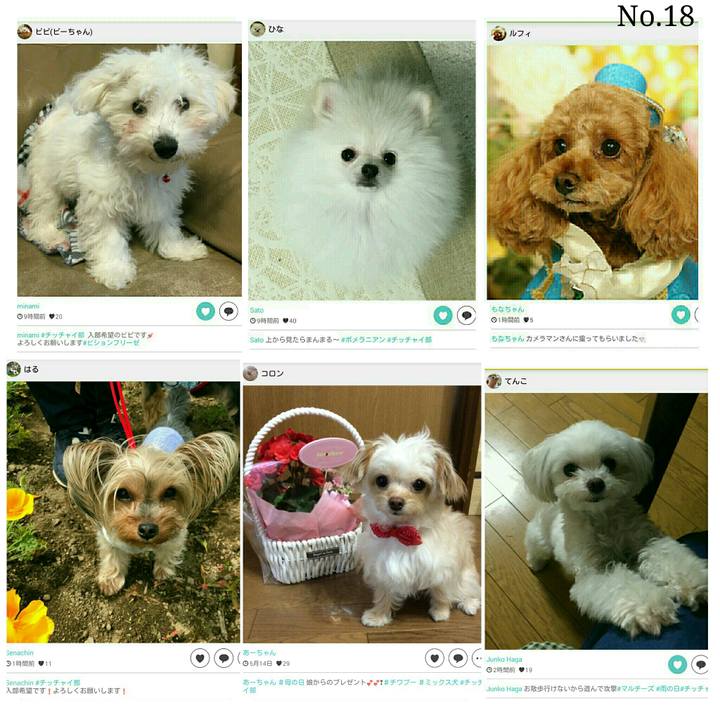 8175c8b7 edae 4b11 a340 eb3be5e4abc1