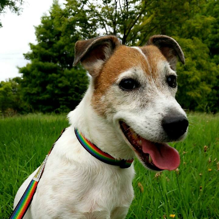 81769cd1 b29f 42af 86ab 250eb4e85850