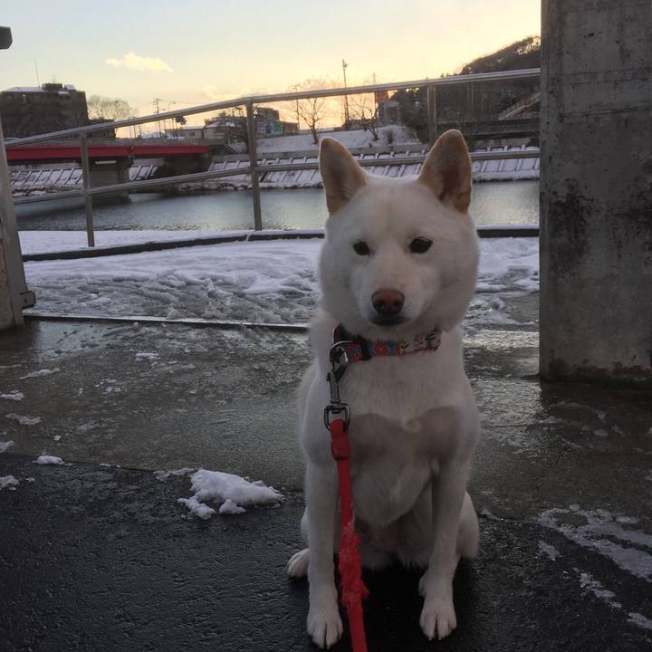 8176a2a0 137b 4289 beb6 2358e04a0720