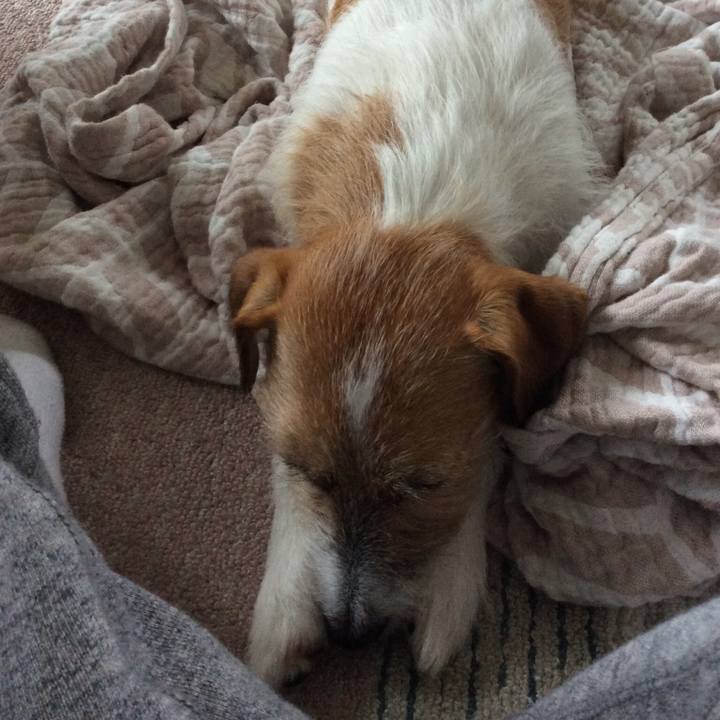 8176bdc3 cb73 4ddd 843c c218d92fc817