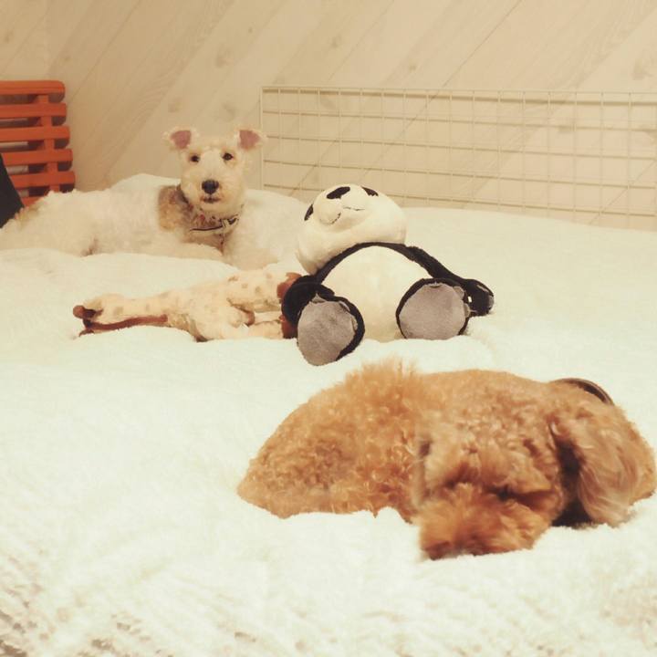 8177b67b 11bb 407b b6de 87827c477311