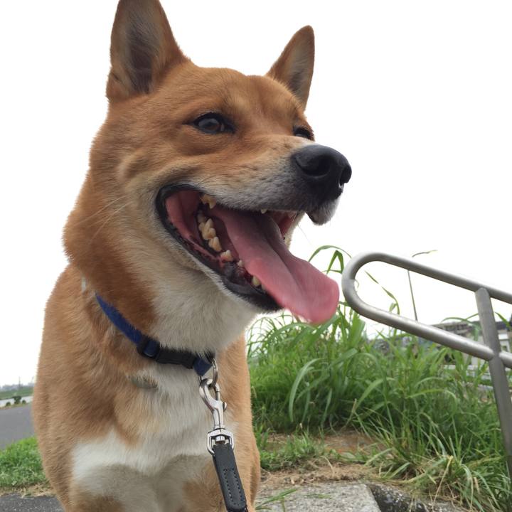 81783776 2856 40e7 b07d b8029028c32c