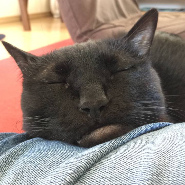 8178431b f725 4985 9210 aacc1b97759a