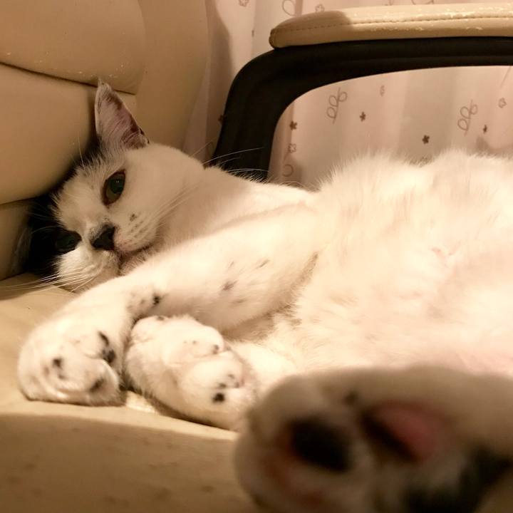 8178641b 69e9 4547 961f f162289d581f