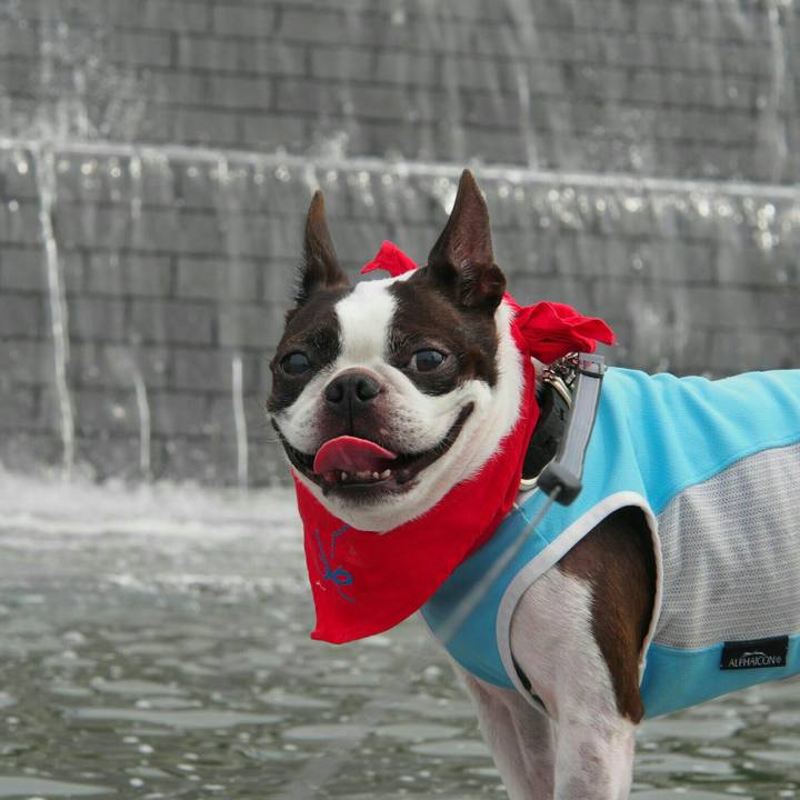 8178d4a2 4ced 4bb8 95a0 7305ef618561