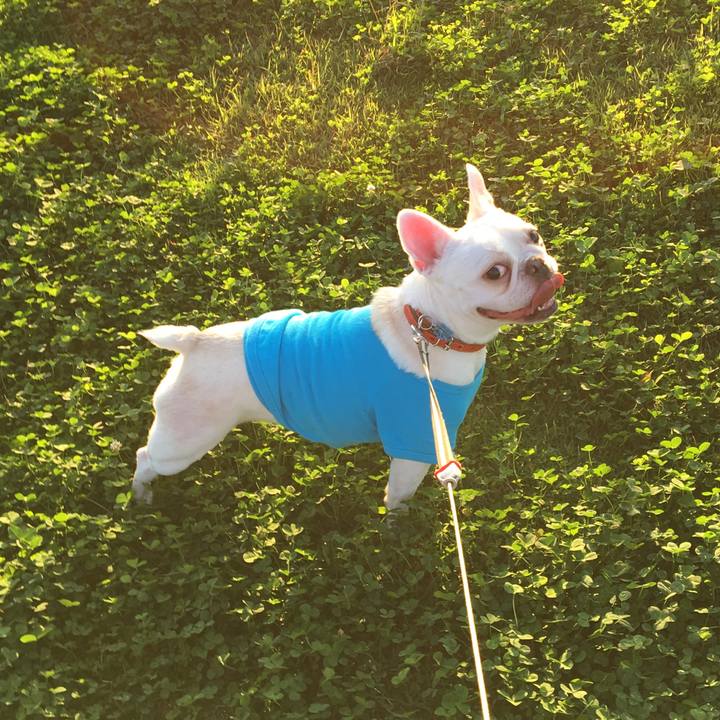 817908f8 4cdb 4752 9bfa 98c7be7e7ac6