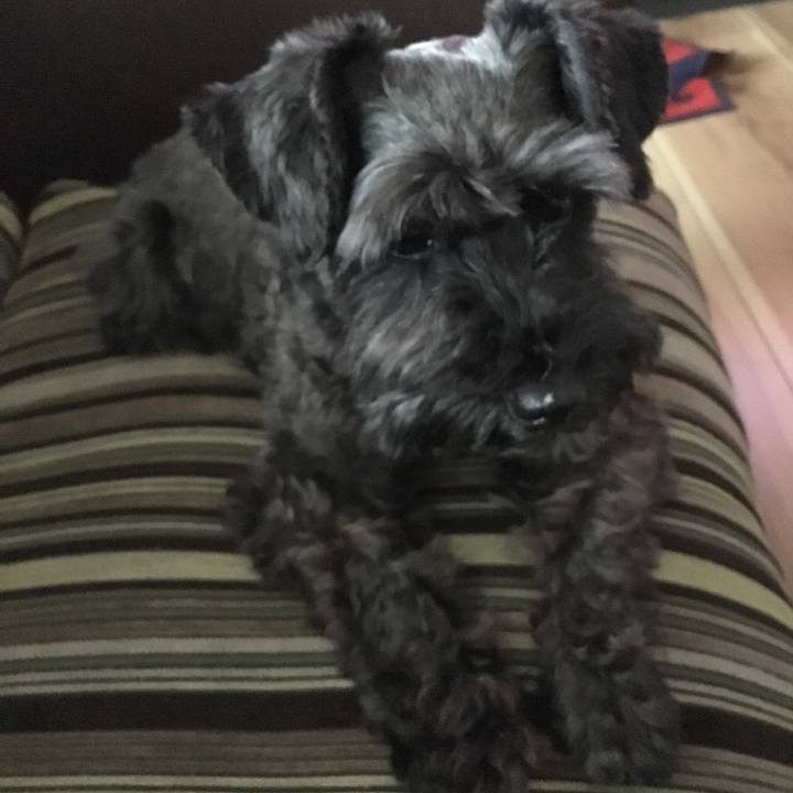 817980cd a88f 47ea b00d 072e9a556550