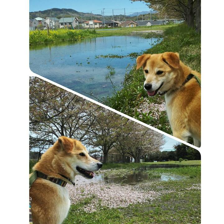 8179bdf1 ca05 4417 9208 21e1055022b4