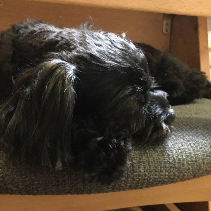 8179c03e 09dc 406d 8f21 1a08ecfa7e31