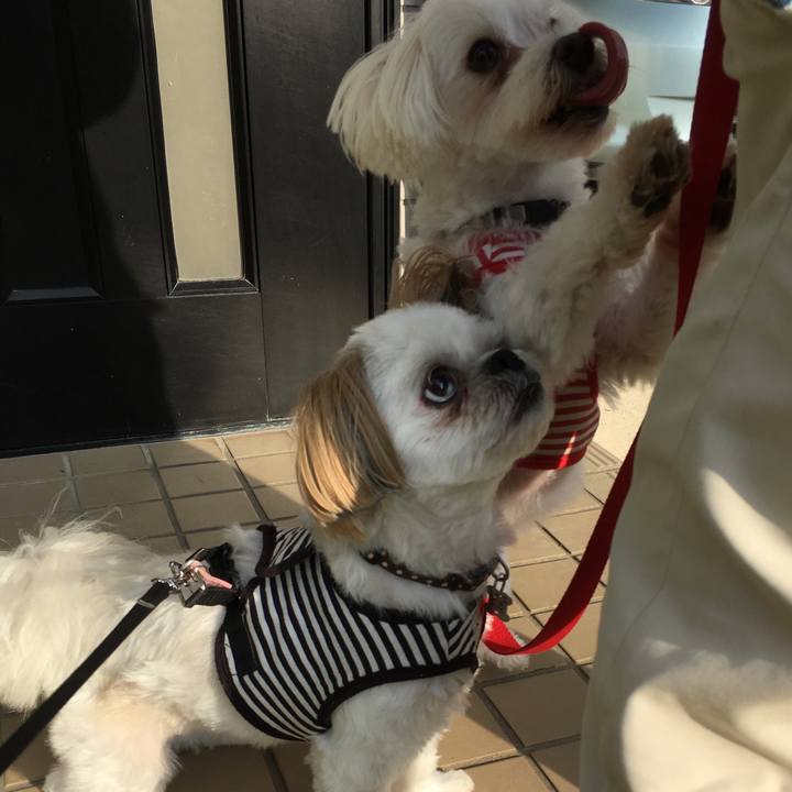 8179effd b874 47f4 a6ea 37f7f7b8fb8c