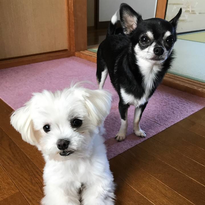 817a6086 75ae 4228 96b3 6e6d3773df81