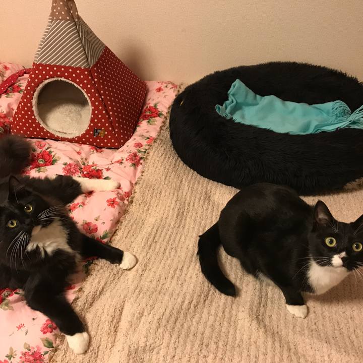 817a68b5 ad37 4232 ae96 755aca7822d6