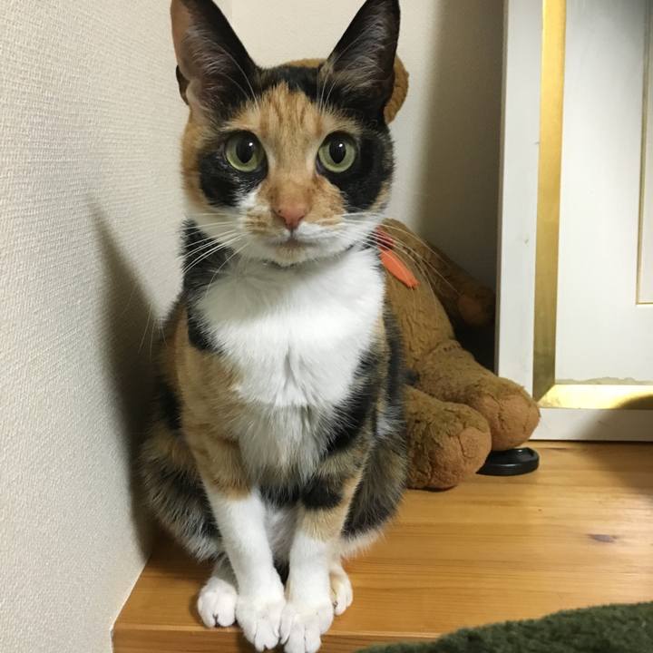 817abb71 00c7 4eb9 8d75 ac0ae8746f97