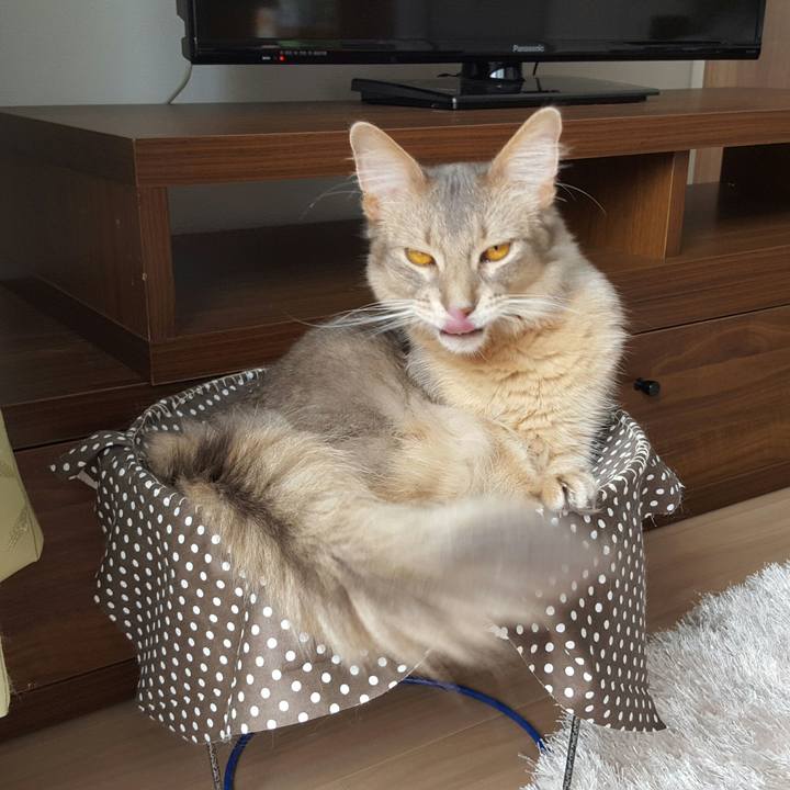 817b4b65 6f85 42b2 a982 dc5efc767dff