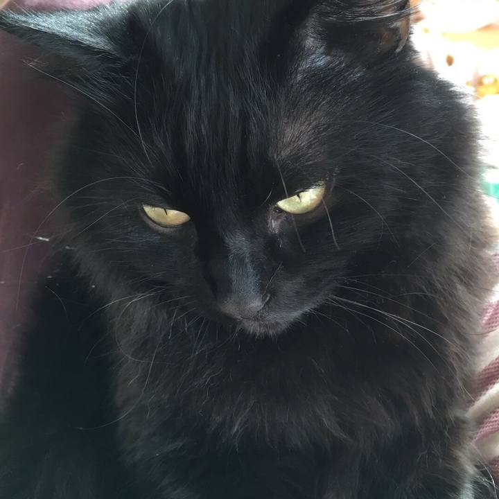 817b5bcf 0991 40d6 9415 207c62a5a8f4