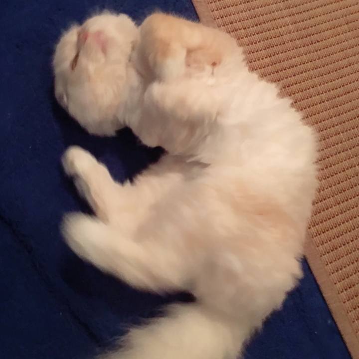 817b8ae9 3292 4310 8581 19780d914bb6