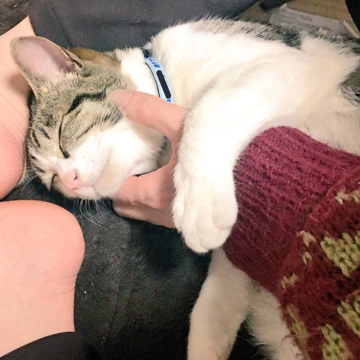 817c3b9b 7d44 491e 8e2b 7373118b9fbb