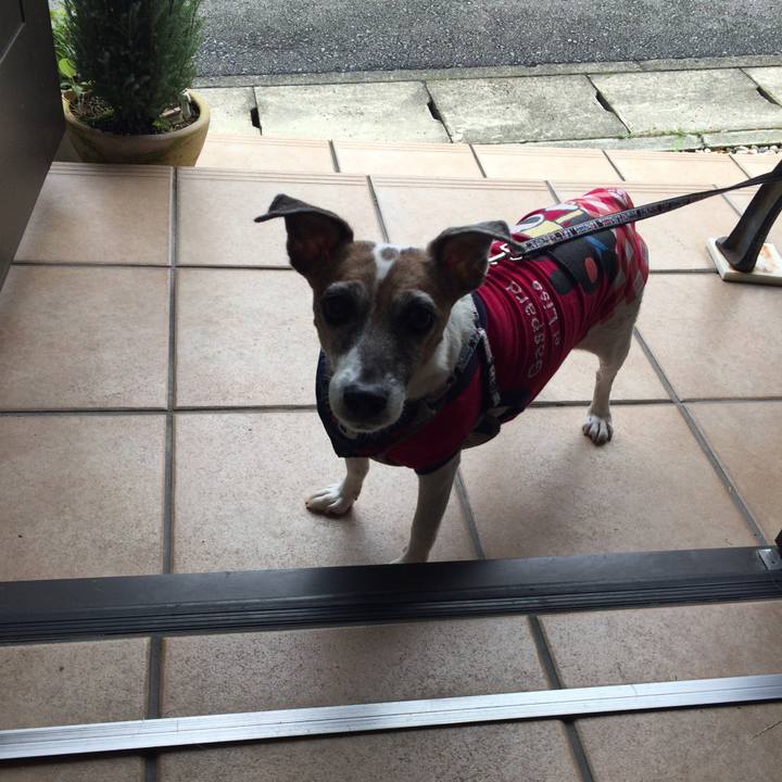 817c5987 857a 4cc0 87ee f236fca6929a