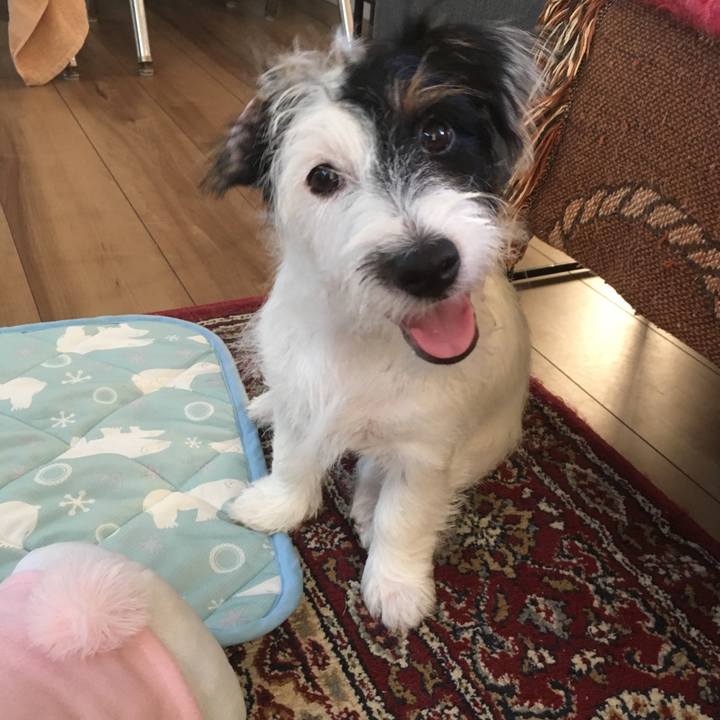 817c6678 69b2 49e9 8bda e8ad8eb1c8a9