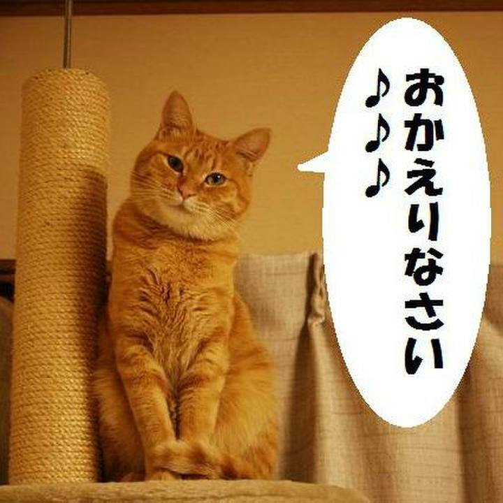 817df9e4 2cd0 4066 9b94 5f159d1a34c0