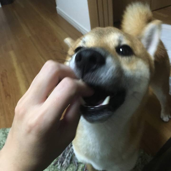 817e7159 5676 4432 bff7 1f40b606d0c8