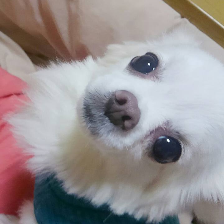 817f5472 d843 48d6 8e9a 1d3c0af15f29