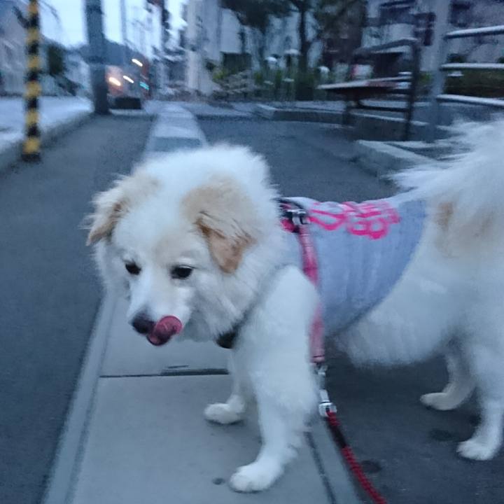 81801f95 a8fb 4360 b3a8 6d26a2c70977