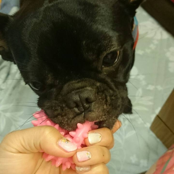 81804137 9c30 4b64 9791 475e06407273