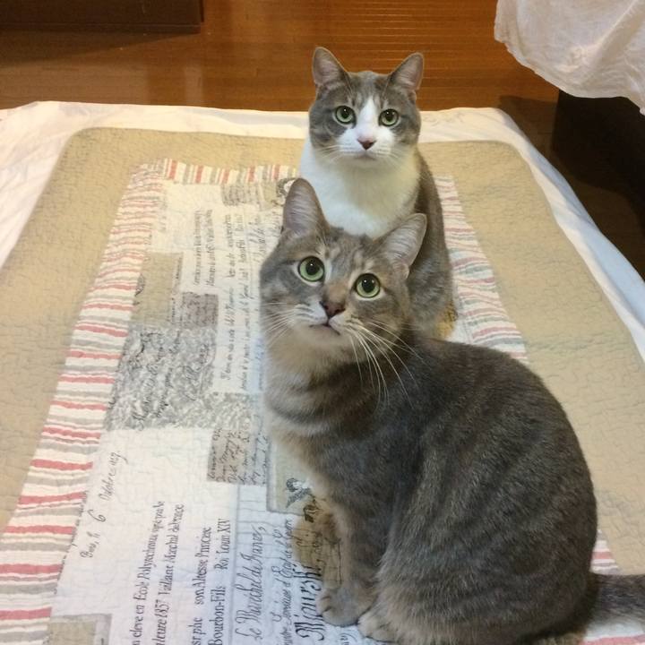 818100e2 c11f 49fb a3ef bbb60728aa4a