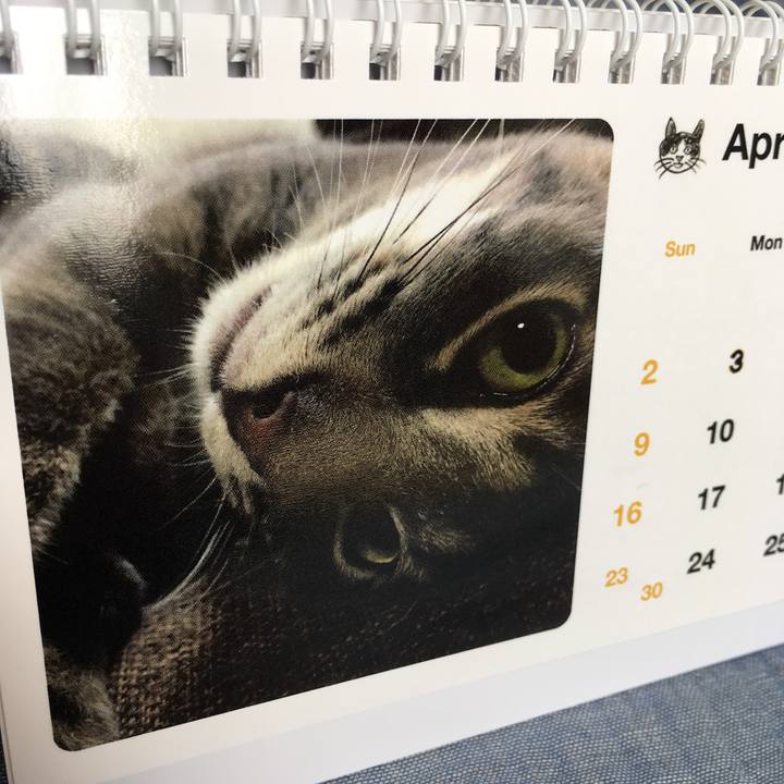 818176b3 8235 4bc2 a93b 097a463a1050