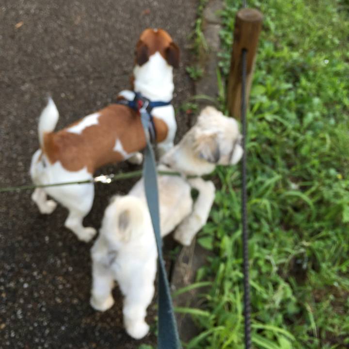 8182021f 7c1a 4ca0 a810 4028d83ca9a4