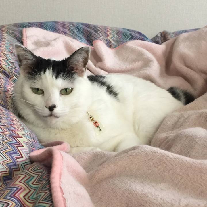 818270ce 12a0 46f2 8003 79f38d2be4e2