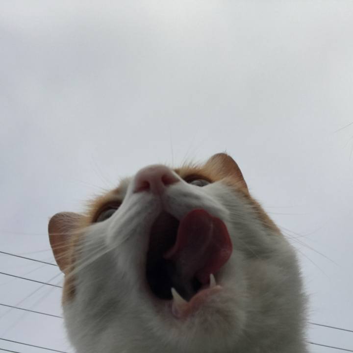 8183160a 0c42 434f 8d97 ffbc51d4b829