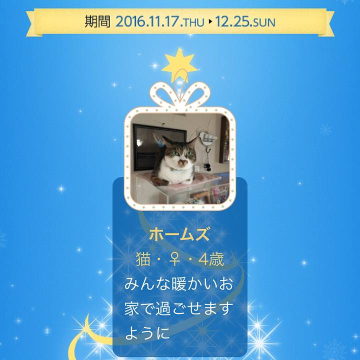 81835925 9073 45ec 8bec c3f05044fec4