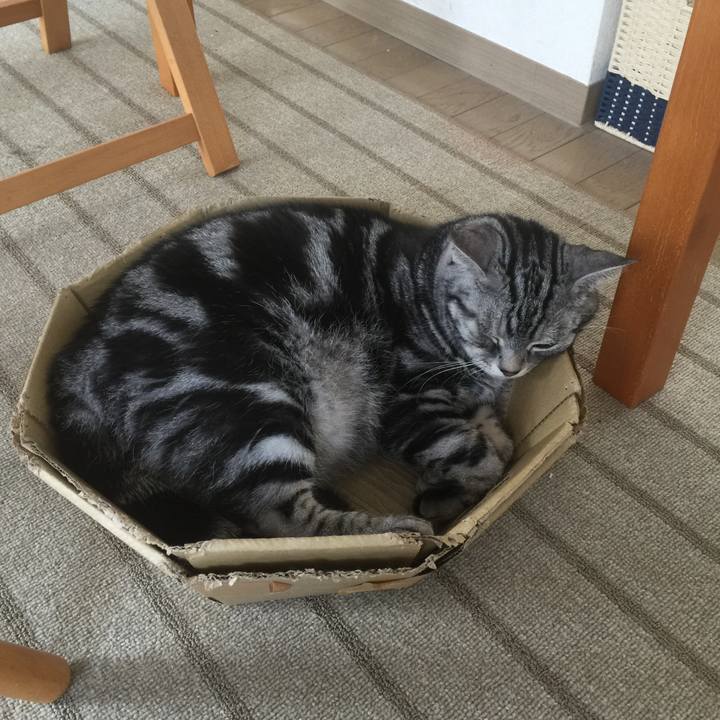 81838293 da48 41ce b238 3f80c8cb5cd7