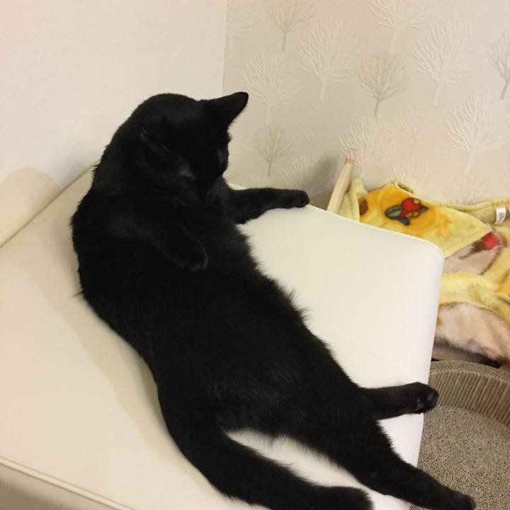 81849c94 8aa1 41e5 9c2d 622b19ff9d09